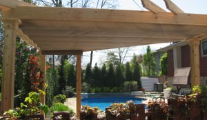 Custom Shape Canopy