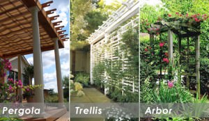 Pergola Trellis or Arbor