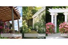 Pergola Trellis or Arbor