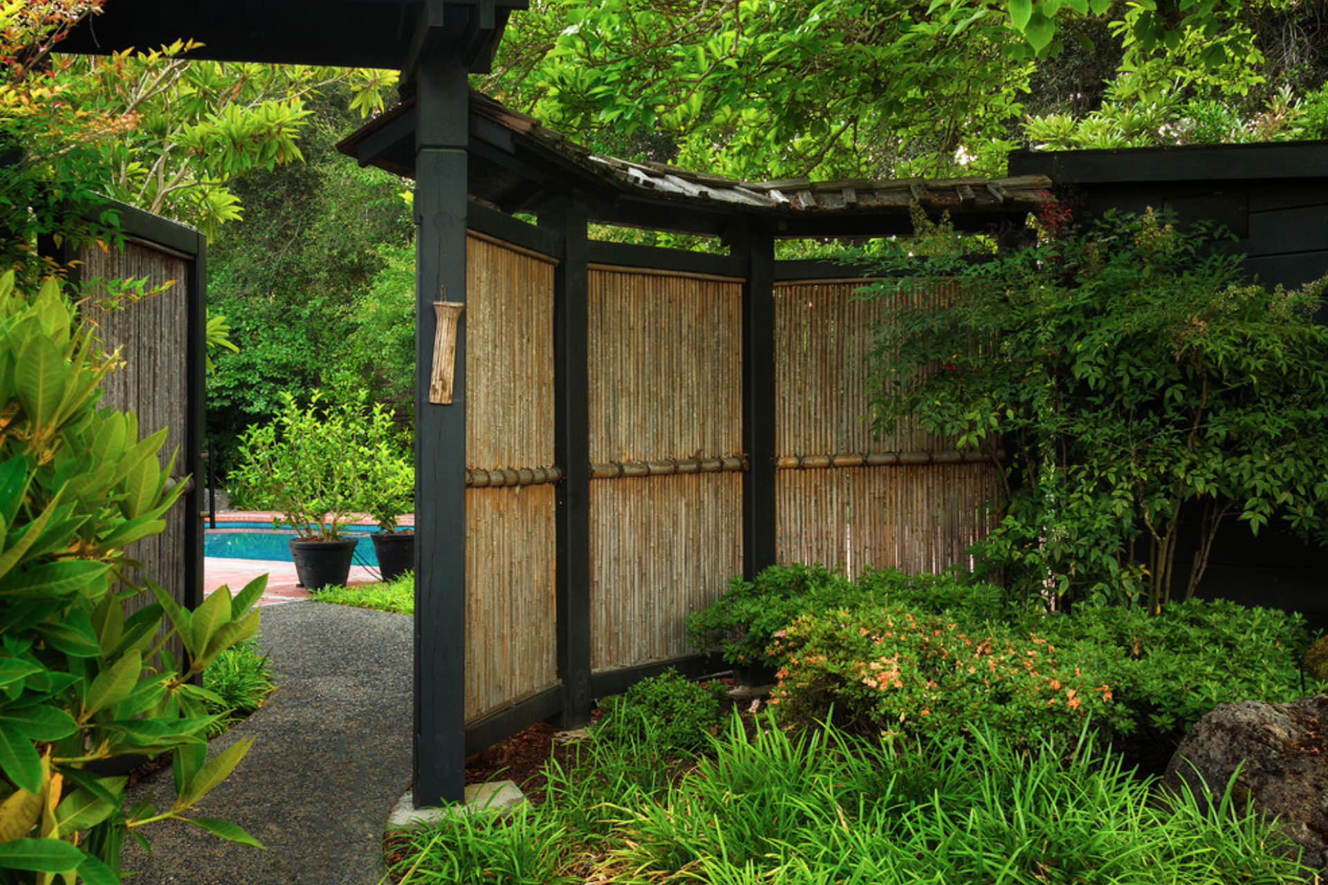 Bamboo Privacy Screen