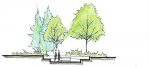 Pre-planning an Outdoor Space: Natural Attributes