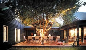 Planning an Outdoor Space - Trees - Nature