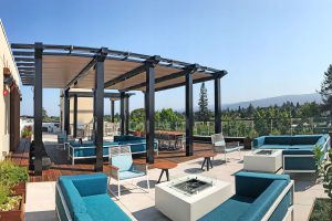 montrose rooftop